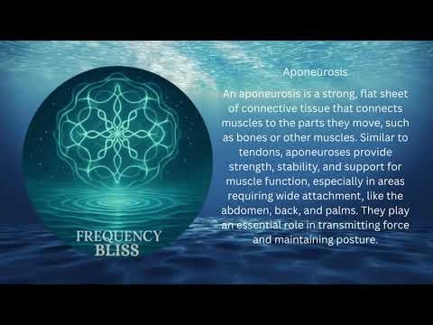 Aponeurosis