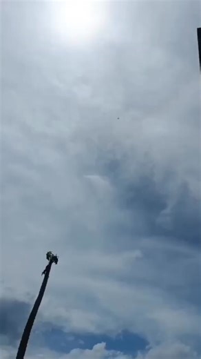 #Cauca La base militar en el municipio de Suárez es atacada por disidentes de las Farc, la fuerza aérea apoya a los soldados que resisten la acción armada. | Canal 3