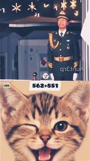 That "Don't laugh"challenge just got way harder smile😜😄 #military #funny #viral #cat #memes #comedy