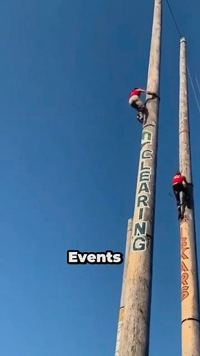The Risky Tree-Climbing Competition | Mo bimpe