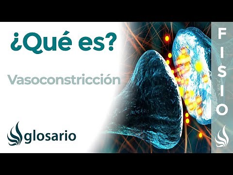 Vasoconstriction | What it is, what causes it, its function, and its importance