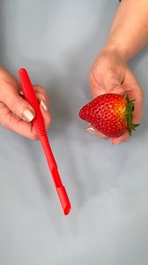 New Kitchen Gadget! 🍓 | Kyle & Mistie Knight