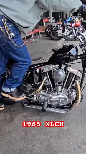 1965 XLCH #harleydavidson #kickstarter