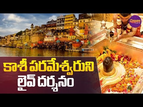 Kashi Vishwanath🔴Live : కాశీ పరమేశ్వరుని లైవ్ దర్శనం | Kashi Vishwanath Darshan | Pooja TV