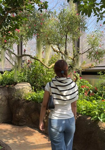 What Happens When a Butterfly Lands on You?