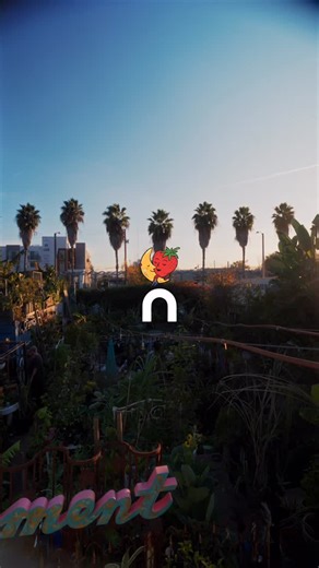 Sky High Farm Goods on Instagram: "This is where it all comes together. A swimming pool in South Central LA, re-wilded to empower local communities with the knowledge that comes from growing your own food. The ultimate backdrop for a partnership rooted in food equity. Since 2010 @ronfinleyproject and his Gangsta Garden have shown us that gardening is the way to freedom. That if you want to be free, you’ve gotta start growing some S***. February 5, 2026. LET’S GO. Video: @abir.mov"