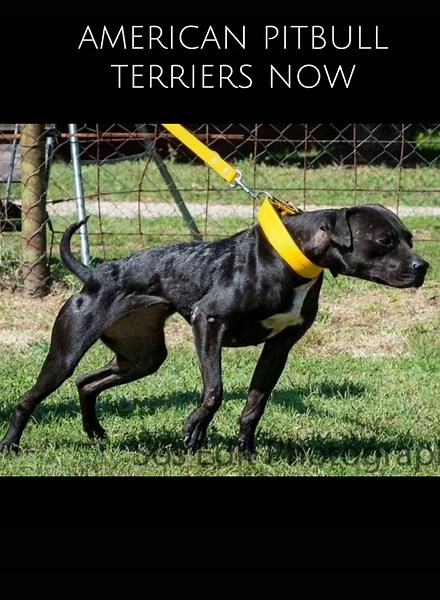 Reply to @omgitsh3llie