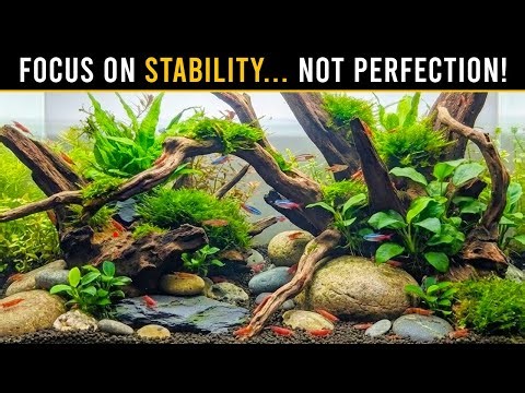 Why Your Aquarium Could CRASH Before It Even Stabilizes!
