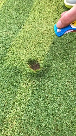 Fixing those divot’s. #fyp #golf #pga #divot #divotrepair #foryoupage #viral #blowthisup #dontletthisflop #ShredWithBillAndTed
