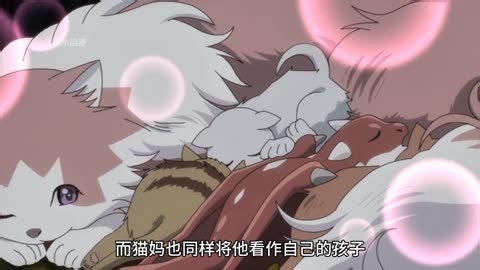 《猫与龙》第1集：被猫养大的龙，成了保护猫族的守护龙！