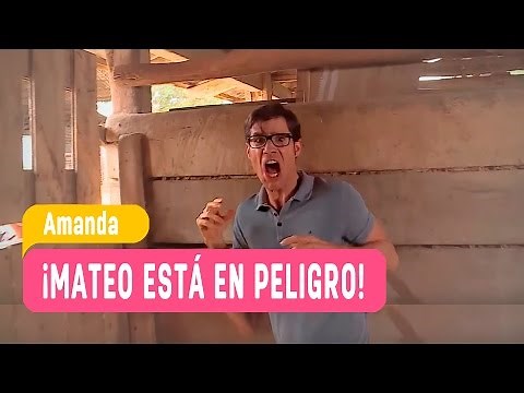 Amanda - ¡Mateo en peligro! - Mejores Momentos Capítulo 98