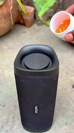 JBL Bluetooth Speaker Bass Test ASMR — Full Sound Check