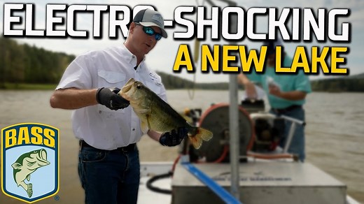 Bassmaster's Lake Y Project with Lochow Ranch Pond and Lake Management takes the next step in turning a small lake into a trophy bass lake- electroshocking and assessing the current fish population. #Bassmaster #BassFishing #TrophyLake #LakeY | Bassmaster