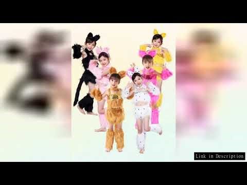 6 Colour Cat Cosplay for Girls Sexy Cat Girl Cosplay Costumes Fox Girl Cosplay Animal Dance Costumes
