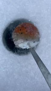 #ice #measurement | MikeyShamrocks