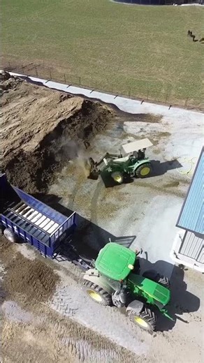 Loading Cow Manure To Use As Fertilizer In The Fields #shorts