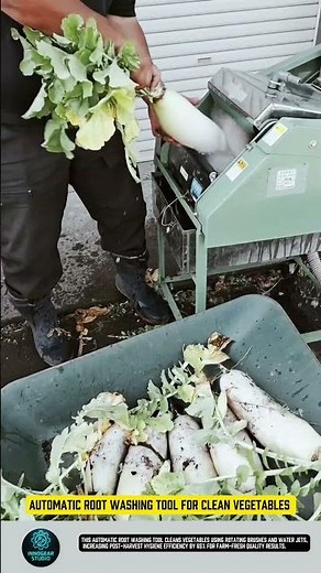 Automatic root washing tool for clean vegetables #tool