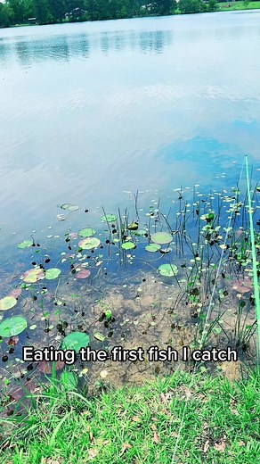 56K views · 1.2K reactions | Whole fried panfish #cooking #fishing #easyrecipes #outdoors #cheapprice #seafoodlover #fish | Wade Fishez | Facebook