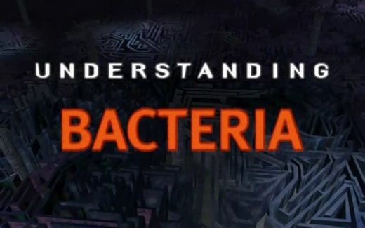 【Discovery】科学知识系列（1994）【生肉】