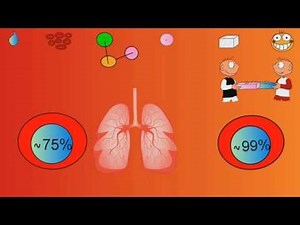 What Is Blood Made Of?