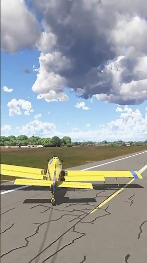 Skids off Runway - Smooth Recovery: MSFS 2024 Moments