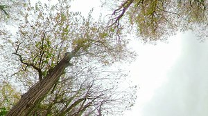 ***UPGRADE YOUR SLEEPING BAG THIS WINTER*** The VRS Camo Thermal Cover is the ideal bag cover to upgrade your current 3 season sleeping bag to a super cosey 5 season! | Fox International