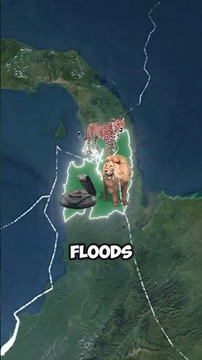The Darién Gap: Earth’s Deadliest Shortcut 🌎⚠️”