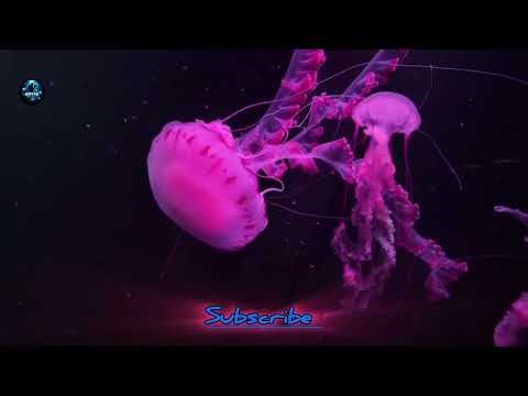 Relaxing Deep Ocean Sounds | Underwater Ambience (5 Minutes)