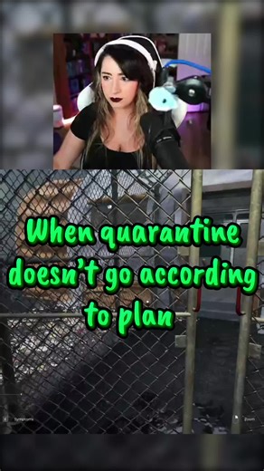 Incident detected indeed 🤣🧟 #quarantinezone #zombiegames #gaming #newgame #fyp