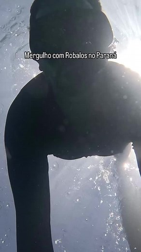 Robalo - Snook Fish. #fish #peixe #viaral #peixes #videosdepesca #pescaria #pesca #pescanomar #robalo #snookfishing