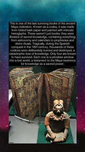 Secrets of the Lost Maya Books #shorts
