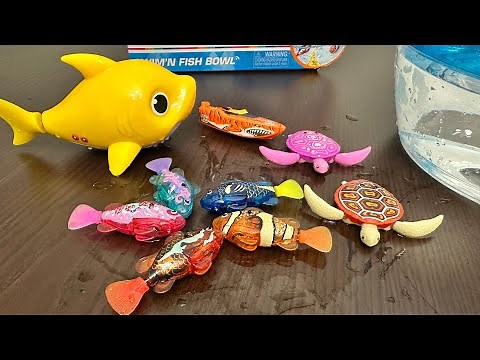 Baby Shark Sing & Swim Bath Toy & Zuru Robo Fish Swim‘n Fish Bowl Toys Unboxing