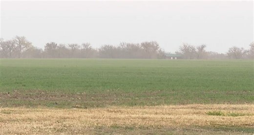 Proposed solar farm sparks debate in Clearwater area