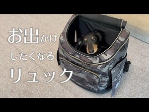 愛犬とお出かけしたくなるリュック♪【ミニチュアダックスフンド】