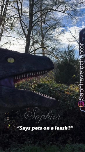 Silly Signs That Will Make You Laugh