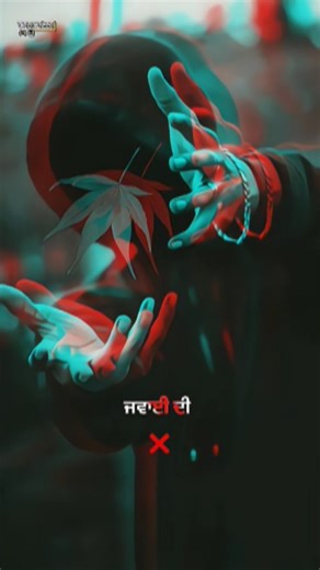 vn editor ⛳ | ਸੱਜਣਾਂ ਦੇ ਨਾਲ ਧੋਖਾ ਨੀਂ ਕਮਾਈ ਦਾ 😌🙌 @Kudratstatus @_chamkila_status_ @baath0019 #vn #vncode #vntemplate #status#explorepage #instagram... | Instagram