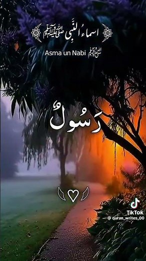 #muhammad #ahmad #hamid #qasim "99 names of Prophet Muhammad" #islamicvideo #islamicpreacher #peace❤