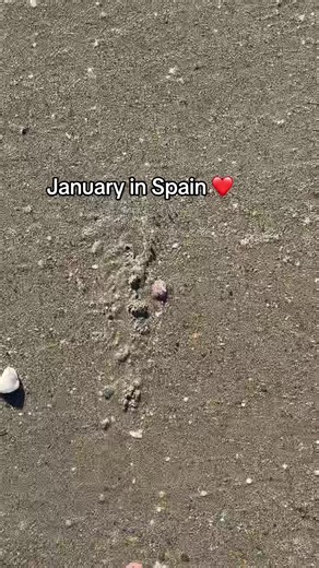 Experience Daily Beach Walks in Beautiful Spain