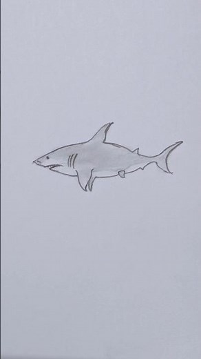 Easy Shark Drawing 🦈✏️ | Simple Pencil Sketch