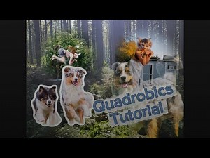Quadrobics Tutorial for beginner!