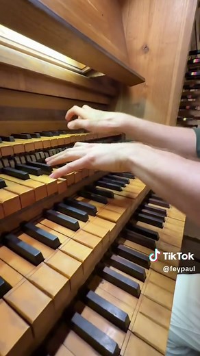 Have you ever seen an organ like THIS?! 🤩🇮🇹🎹 #organ #church #kirche #churchorgan #organistsofinstagram #organist #orgue #opera #classical #classic #musik #music #rome #italy #italianchurch #italien #europe