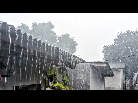Powerful Rain Sounds 🌧️ Continuous Heavy Rain for Deep Sleep 🌙