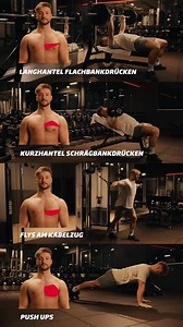 Du willst deine gesamte Brust effektiv trainieren? 💪🏼 Dann probier diese Übungen unbedingt aus🙌🏼 Mit diesen 4 Übungen holst du das Maximum raus und triffst jede Faser deiner Brust. Welche Übung ist dein Favorit? 🤔🔥 #brusttraining #chestworkout #chestexercises #chestworkoutfürgym #brustübungen #brusttrainingübungen #brustmuskeltrainieren | Fitness First Germany