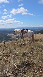 9.7K views · 587 reactions | Merlin the Mountain Horse #foundationappaloosa #appaloosa #trailriding #oregon #exploreoregon #pnwonderland #horse #horses #equine #equestrian #horselife #caballos #caballo #leopardappaloosa | Jack Creek Appaloosas | Facebook
