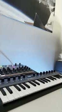 synth jam medium length #synth #synthesizer #electronicmusic #jam