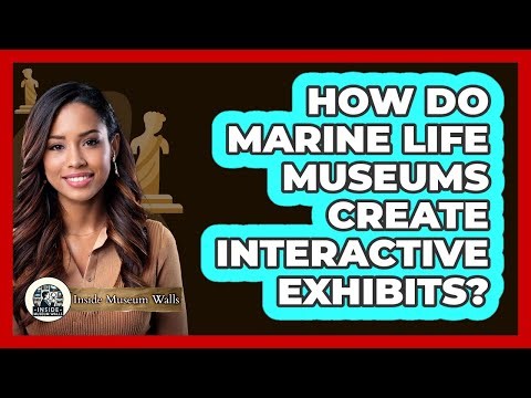 How Do Marine Life Museums Create Interactive Exhibits? - Inside Museum Walls