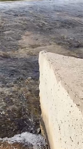 Live stream recording #valencia #gulliver | parque Gulliver | #alicante