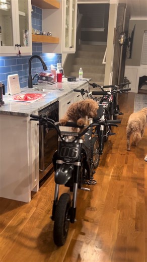 Cleanest mx500 on TikTok