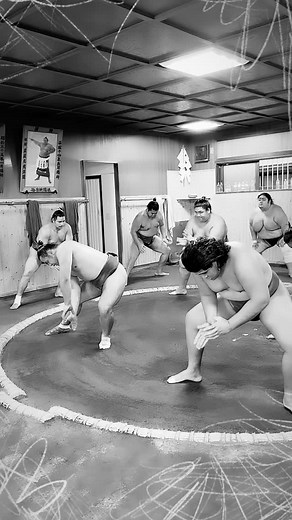 It sumo in September in Tokyo | Sale Atisanoe