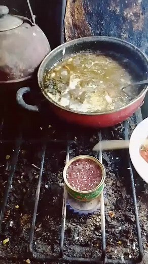 Cooking Homemade Vegetable Dish on a Gas Stove